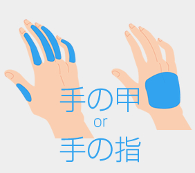 手の甲or手の指